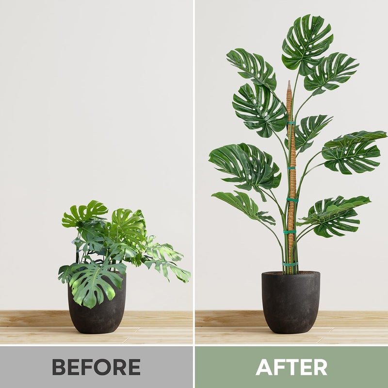 K-Brands 2 Pack 48'' Bendable Moss Pole Monstera Plant Support for Climbing Indoor Plants - Stakes for Potted Climbers - Tall Sticks Indoor Trellis for Houseplants - Accessories for Monstera Pot - Image 5
