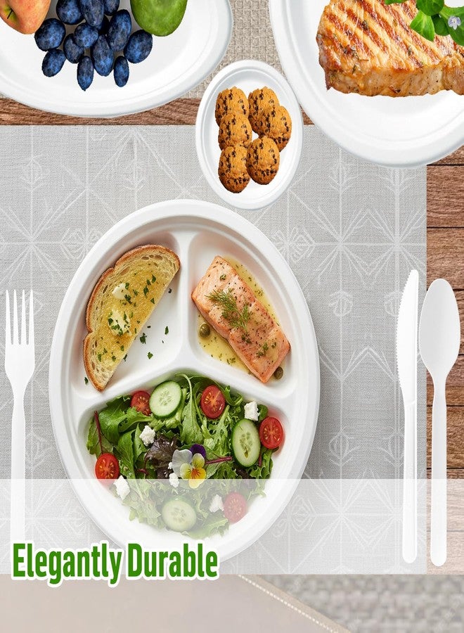 BEIDOU-PAC 3 Compartment Compostable Heavy Duty Disposable Paper Plates, 75 Count | 10 Inch Round | Natural Bagasse, White Biodegradable Eco-Friendly School Lunch, Buffet, Party Sugarcane Tray - Image 4