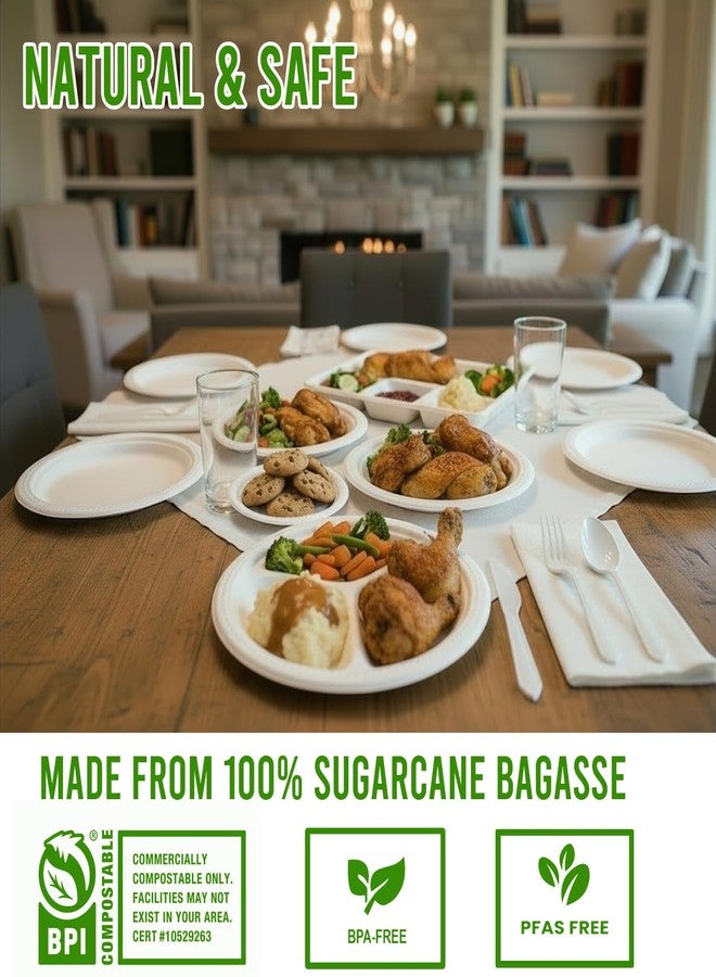 BEIDOU-PAC 3 Compartment Compostable Heavy Duty Disposable Paper Plates, 75 Count | 10 Inch Round | Natural Bagasse, White Biodegradable Eco-Friendly School Lunch, Buffet, Party Sugarcane Tray - Image 3