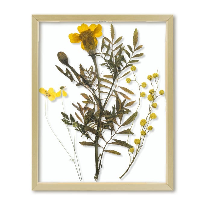 Floating Picture Frame 8x10 Gold Aluminum Metal Photo Frame Real Glass of Front for Wall Mount Displays