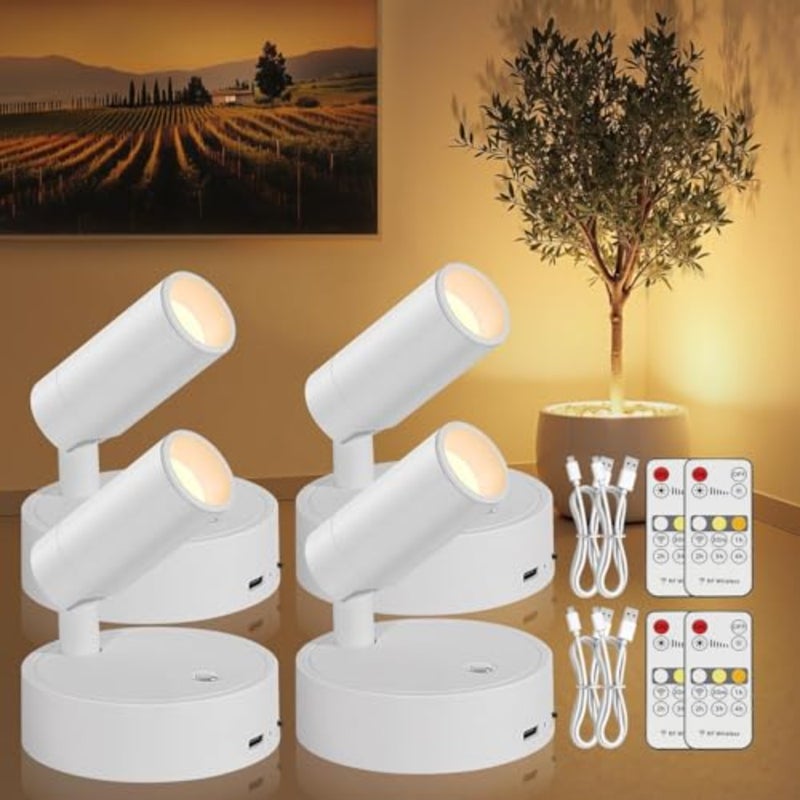 Wireless Spot lights Indoor: Rechargeable Dimmable with Remote and Timer - 360° Rotatable Indoor Lights for Artwork Plants and Wall Light - Image 1