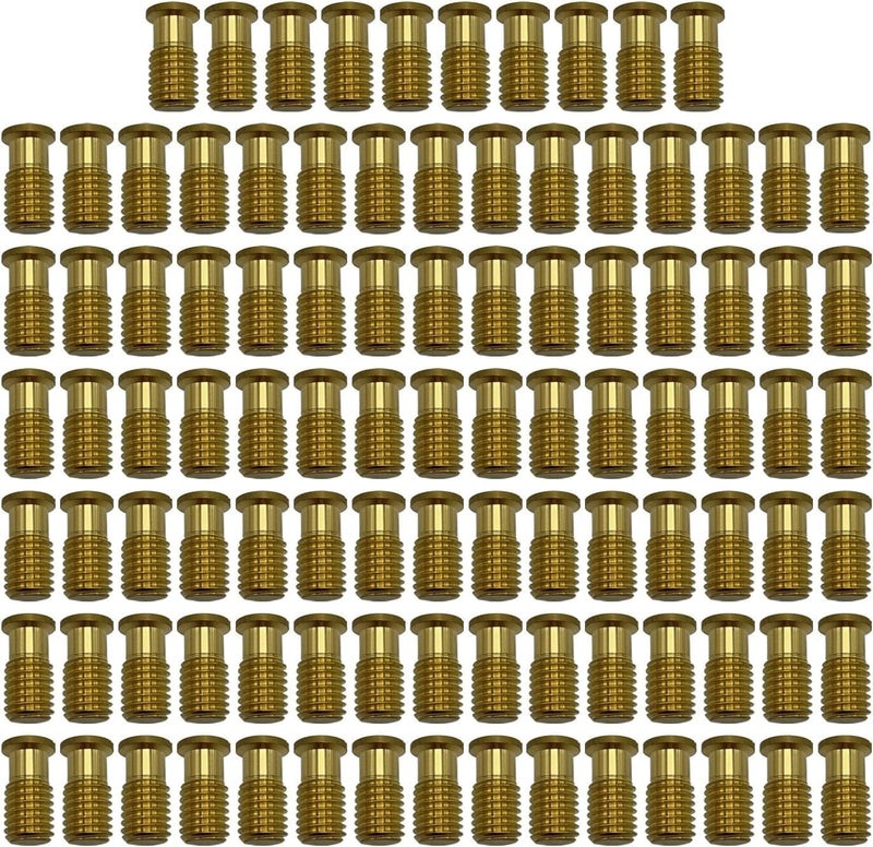 Bargain Brass Poolzilla 100 Pack Pool Safety Cover Threaded Brass Insert Screw Bolt for Anchor - Image 1