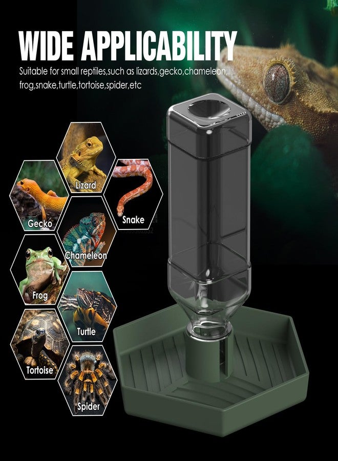 NOMOY Reptile Water Dispenser-Bearded Dragon Water Bowl - Small Water Dish for Tortoise - Bowls for Reptiles & Amphibians (L) - Image 5