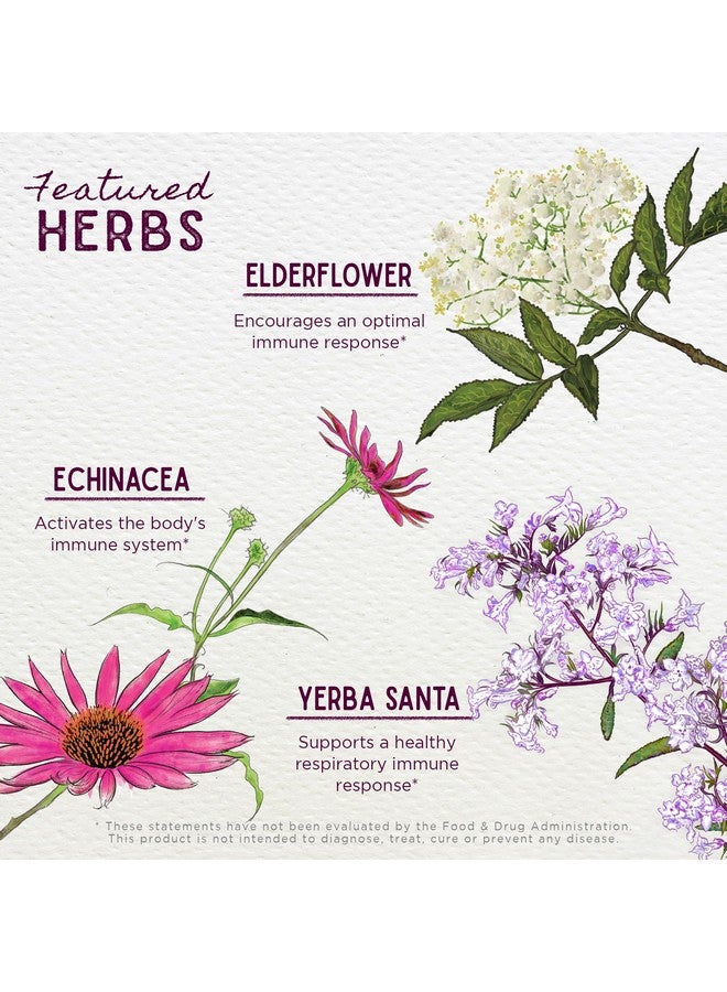 ويش جاردن مُنشِّط المناعة كيك-آس من ويش جاردن هيربز - مُكمِّل غذائي عشبي لدعم المناعة للبالغين، مُعزِّز للمناعة ودفاع مناعي قائم على النباتات مع إشنسا وغولدنسيل، تركيبة سريعة لتعزيز المناعة، 2 أونصة - Image 4