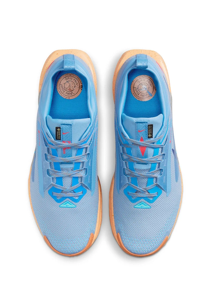 نايكي Reactx Pegasus Trail 5 Gtx