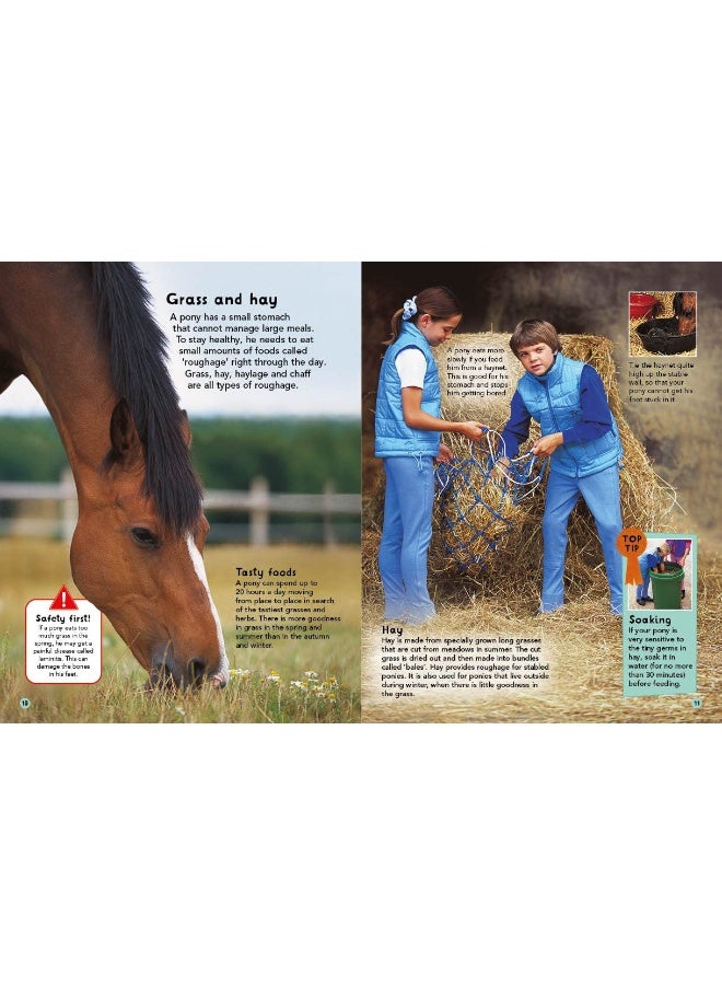 PH My First Horse and Pony Care Book: From boots and bedding to saddles and stables  - Image 1