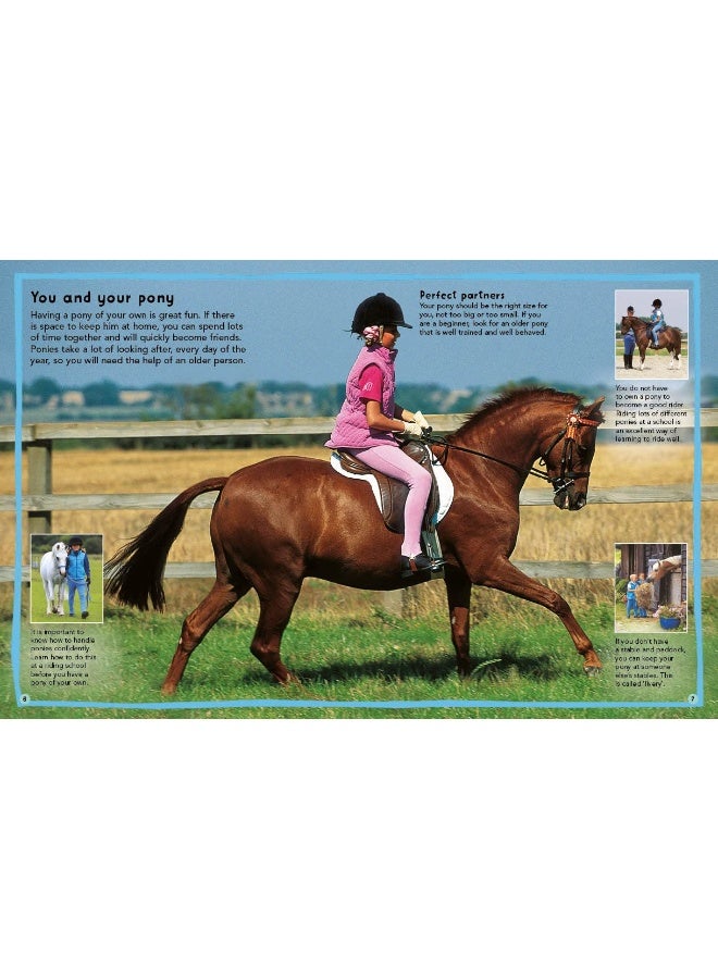 PH My First Horse and Pony Care Book: From boots and bedding to saddles and stables - Image 2