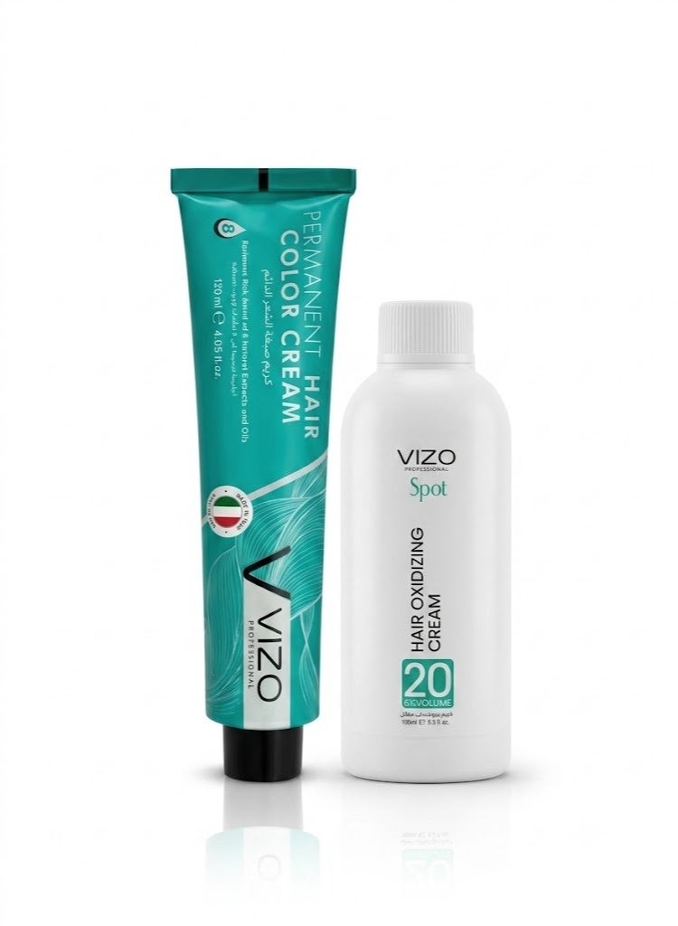 VIZO PROFESSIONAL VIZO Permanent Hair Color Cream No.9.1 intense Very Light Ash Blonde 120ML with 20 Volume Oxidizing Cream - Image 1