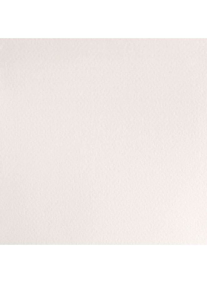 WINSOR & NEWTON Professional Water Colour 14 Ml - Chinese White (150) - Finely Pigmented, Vibrant, Vivid & Intermixable Artists' Water Colour Paints - More Colours Available  - Image 2