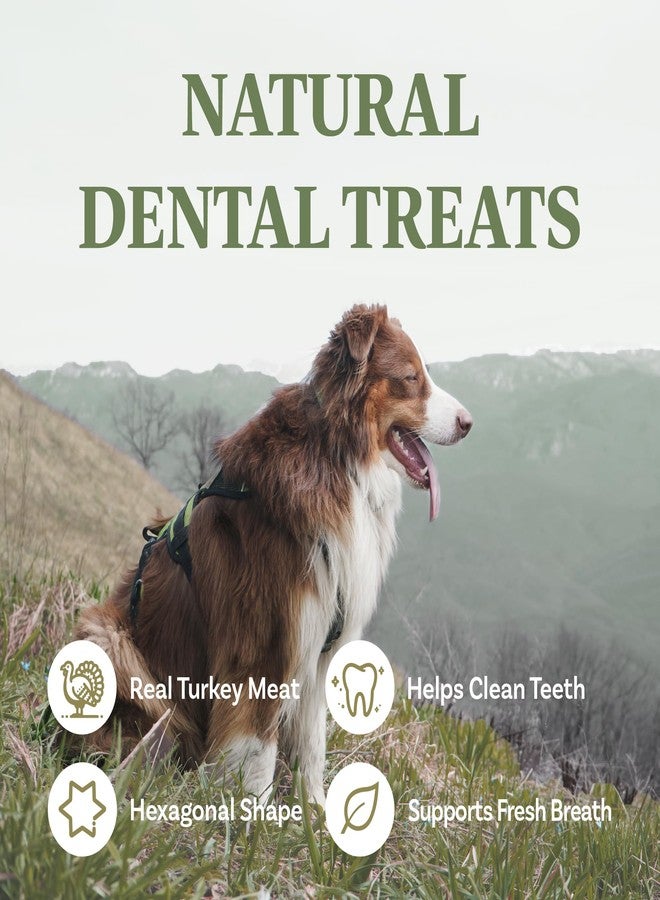 A Freschi srl All Natural Dog Chews, USA-Sourced Trukey, Hypoallergenic, Long-Lasting Chew for Puppies and Adult Dogs, Grain-Free, Signature Series, Turkey Dental Sticks 2.2 lb - Image 2