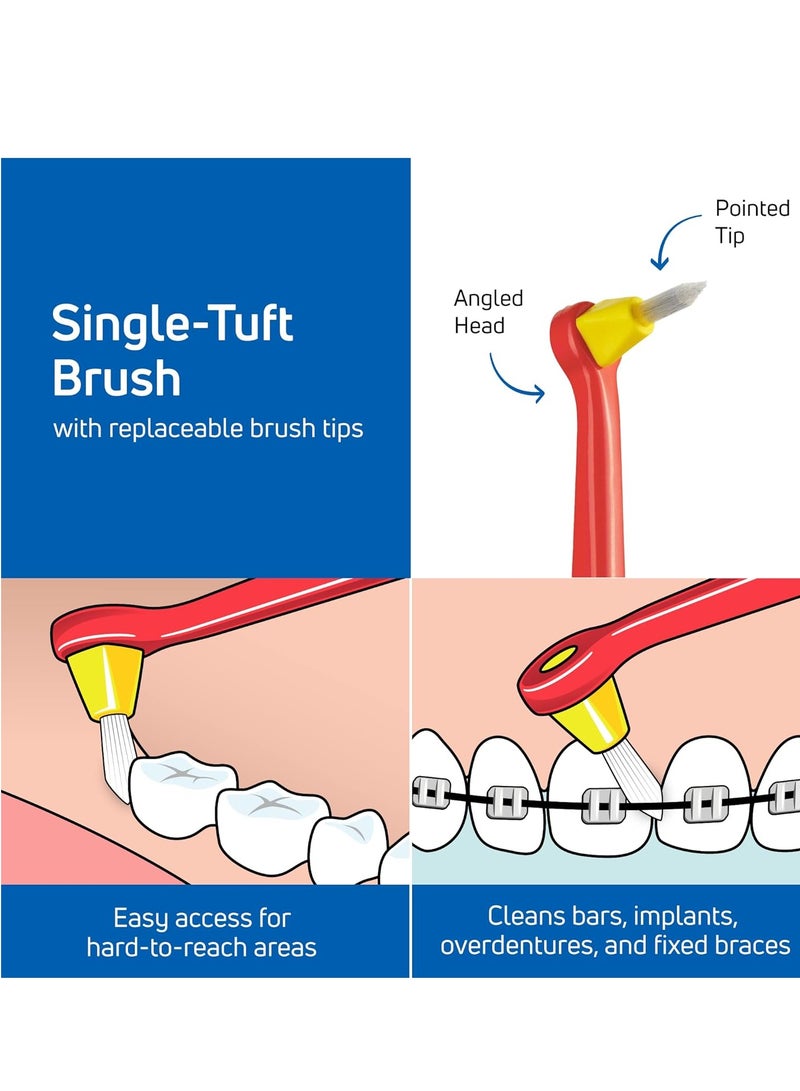 Tepe Soft Toothbrush – Designed for Deep Cleaning of Molars, Gum Pockets, and Tight Gaps – 1 Handle with 12 Replaceable Brush Heads - Image 2