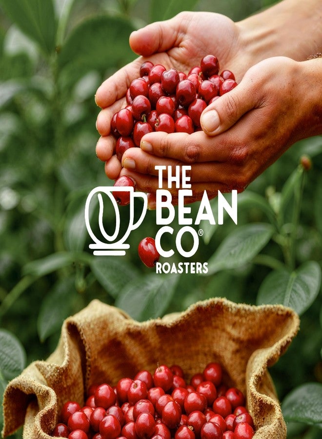THE BEAN CO قهوة محمصة منزوعة الكافيين من ذا بين كو روستر | تحميص متوسط | 100% أرابيكا | حبوب قهوة محمصة طازجة (فرنش برس، 150 غرام) - Image 5