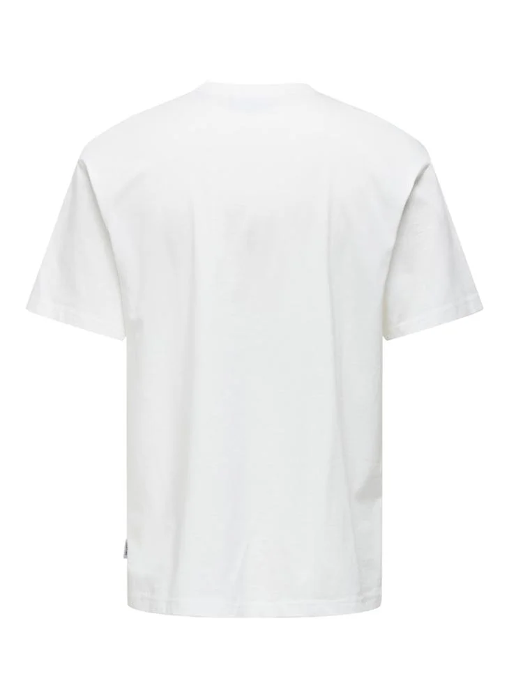 Only & Sons Onsdash Crew Neck T-Shirt