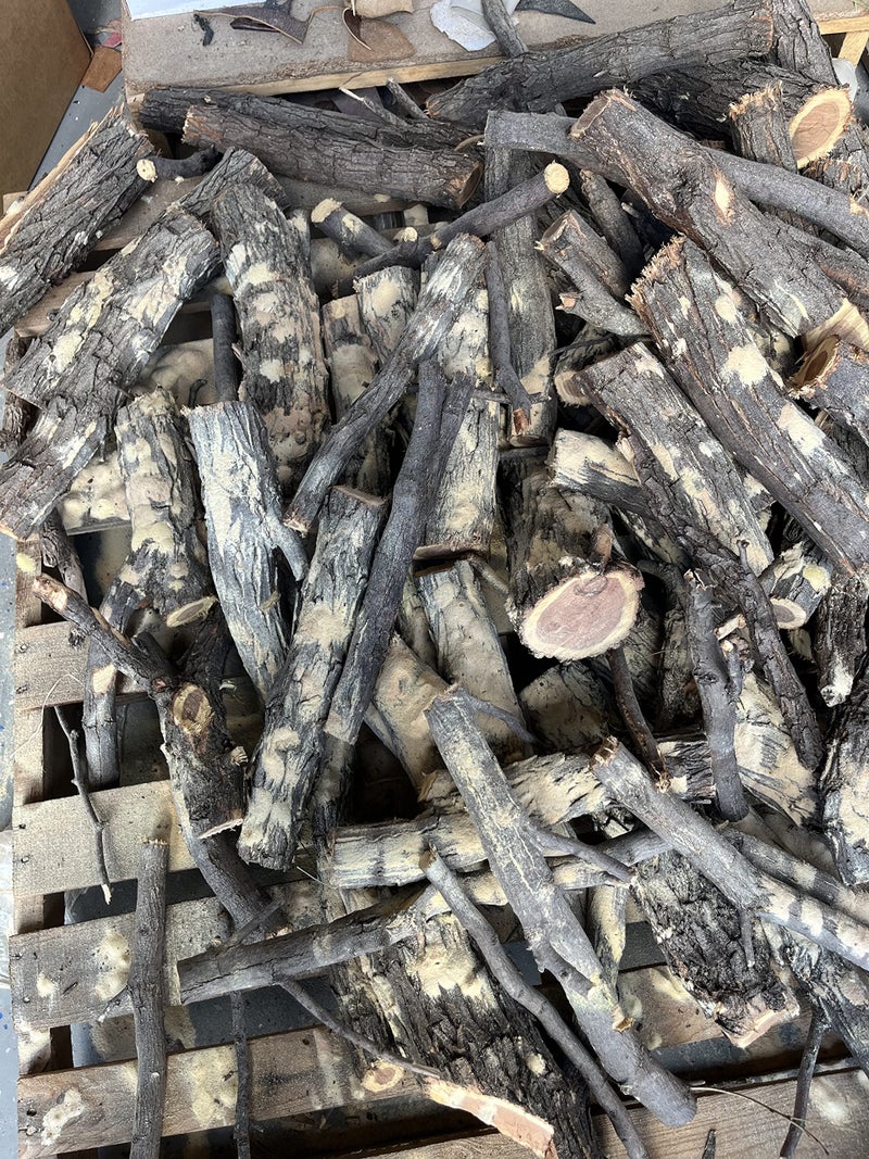 Tiger Lily Burns Fire Co Mesquite Firewood for Smoking - 100% Natural Cooking Wood Chunks for Camping, Smokers, BBQ, Pizza Ovens, Stoves, Fire Pit, Fireplace & Grilling - 10 Lb - Image 2