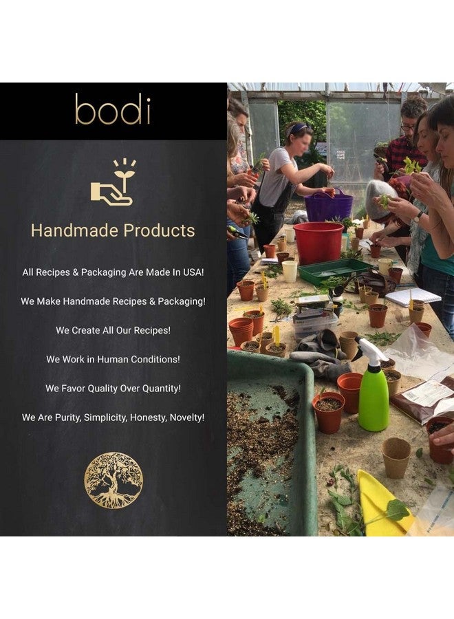 bodi : Goldenseal Root 5:1 Extract Powder | 100% Pure Natural Hand Crafted (4 oz) - Image 2