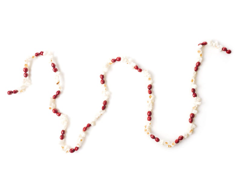 Craftmore CraftMore Popcorn and Cranberry Plastic Garland 
