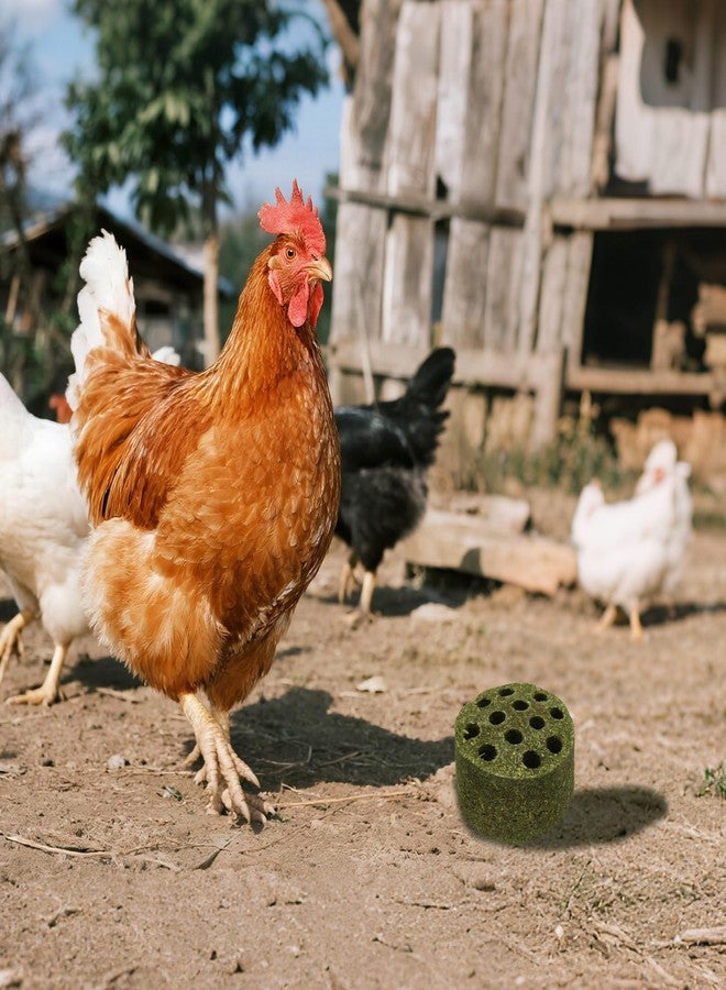 مجموعة بينجي بيت المكونة من قطعتين من مكعبات عشب تيموثي على شكل منقار دجاج، ألعاب دجاج للحظيرة، ألعاب إثراء للدجاج والبط والإوز والديك الرومي وجميع أنواع الدواجن الأخرى - Image 4