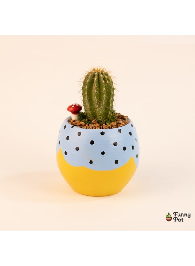 Cactus pottery pot