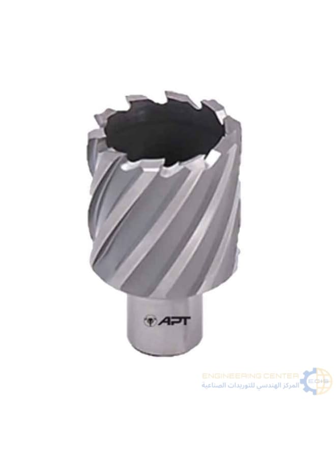 Apt Magnetic bit 36mm x 3cm APT HSS-XE
