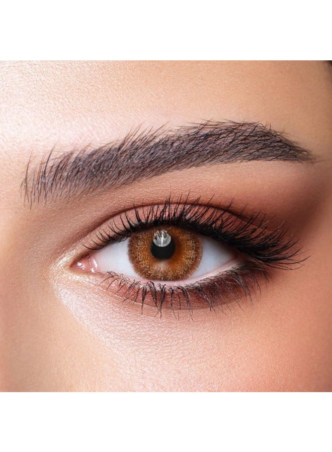 Bella Diamond Oak 3 Months Contact Lenses  - Image 3