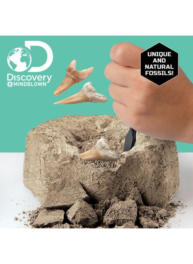 Discovery - Mindblown Toy Excavation Kit Mini Shark Tooth 2Pc - Image 1