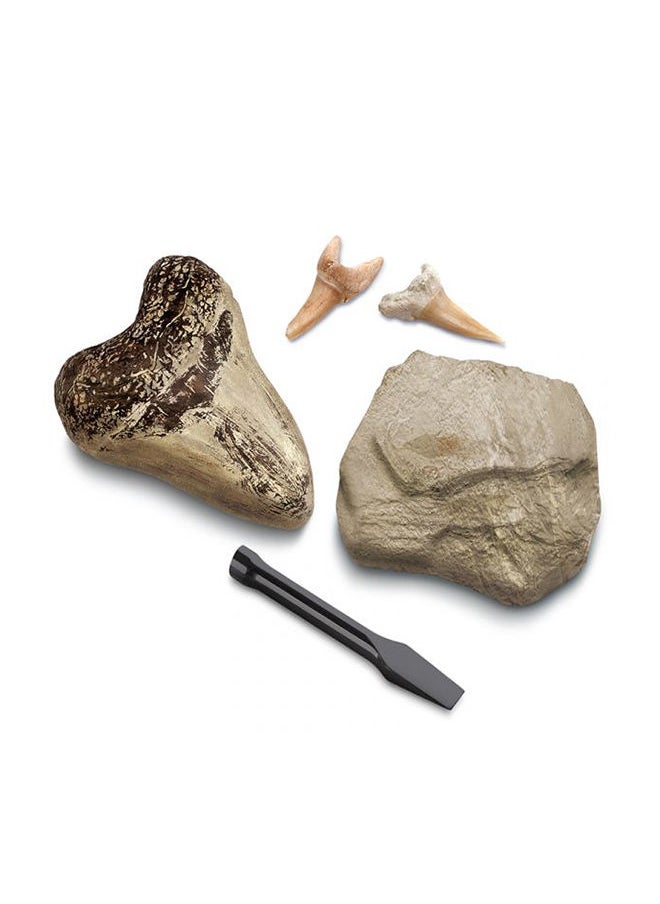 Discovery - Mindblown Toy Excavation Kit Mini Shark Tooth 2Pc - Image 1