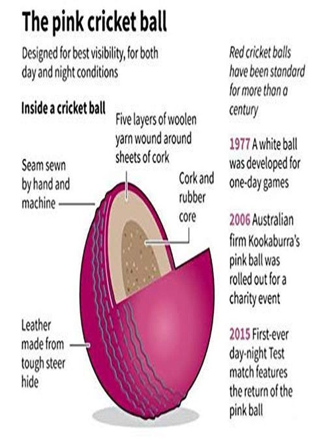 Fervor Spel Genuine Leather 4 Part Pink Cricket Ball Standard Size (Pack of 1) - Image 5