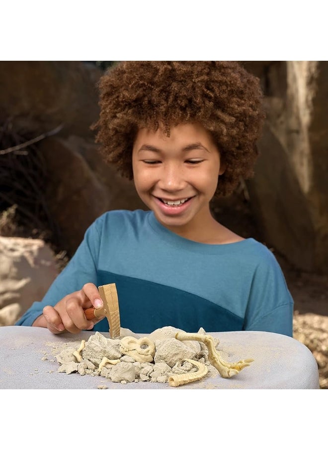 ROBO ALIVE Robo Alive Dino Fossil Find - Triceratops by ZURU Excavate Dinosaur Fossils Digging Kit Collectible Toy with Slime, Multicolor  - Image 1