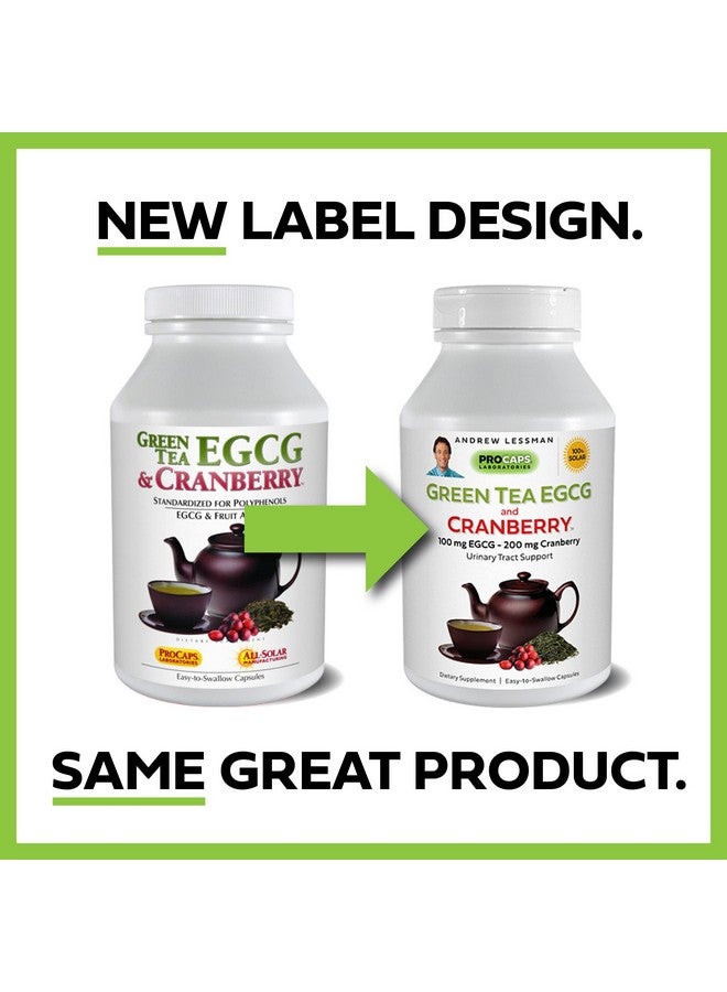 Andrew Lessman Green Tea Egcg & Cranberry 60 Capsules Standardized For Catechins And Polyphenols. Helps Protect Tissues Organs And Systems Throughout The Body. Powerful Antioxidant Support - Image 3