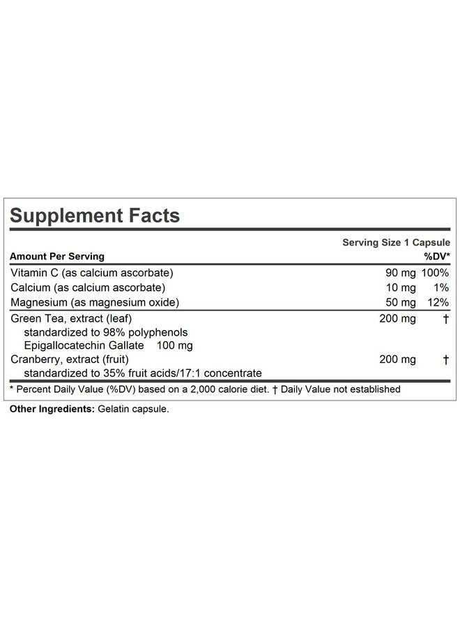 Andrew Lessman Green Tea Egcg & Cranberry 60 Capsules Standardized For Catechins And Polyphenols. Helps Protect Tissues Organs And Systems Throughout The Body. Powerful Antioxidant Support - Image 4