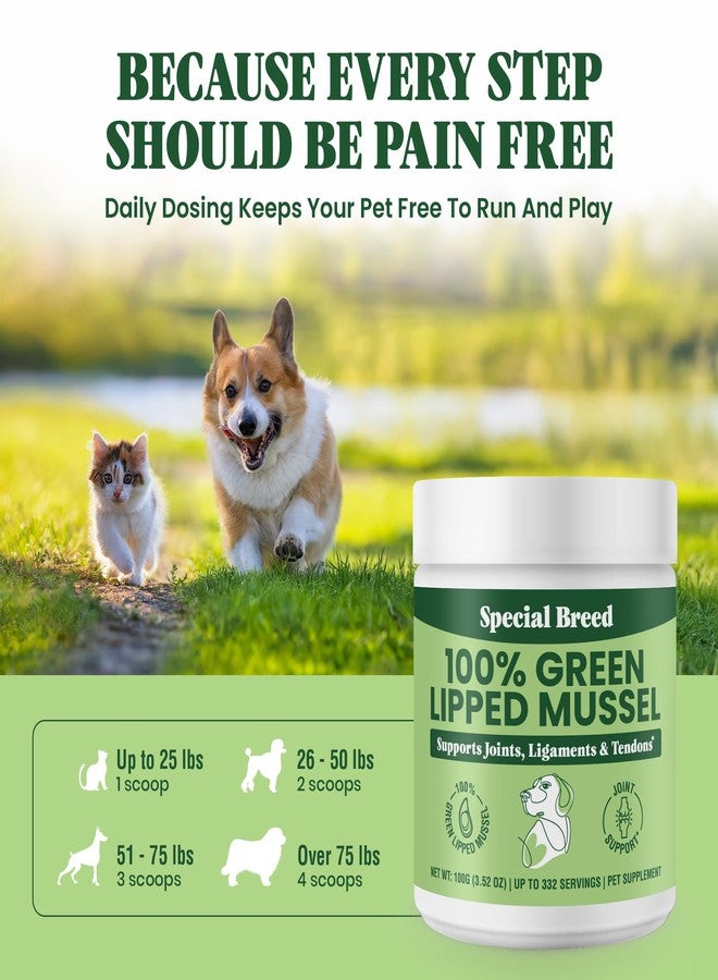 Special Breed Green Lipped Mussel Powder for Dogs & Cats - 100% New Zealand - Natural Hip & Joint Supplement for Joints, Tendons, Ligaments, Muscles - 100 Grams - Up to 332 Servings - Image 5