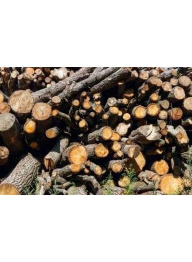 Natural BBQ Charcoal 10kg Medium Pieces Wood Blend for Grilling Outdoor Cooking Fuel - Image 3