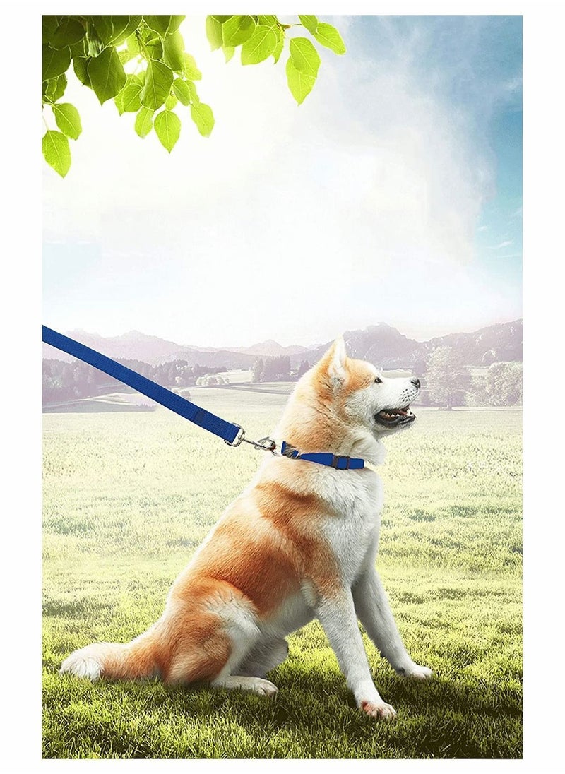 Y&D - Extra Long Line Training Dog Leash, Lead For Large, Medium and Small Dogs, Great for Training, Play, Camping or Backyard (10m) - Image 1