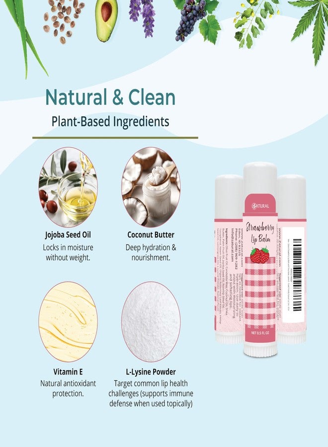 Zatural Strawberry Lip Balm with Shea Butter, Jojoba Oil, Lysine Large 0.5oz - Plant-Based Moisture with Rosehip and Vitamin E - Travel Friendly Natural Lip Care - 0.5oz - Image 5