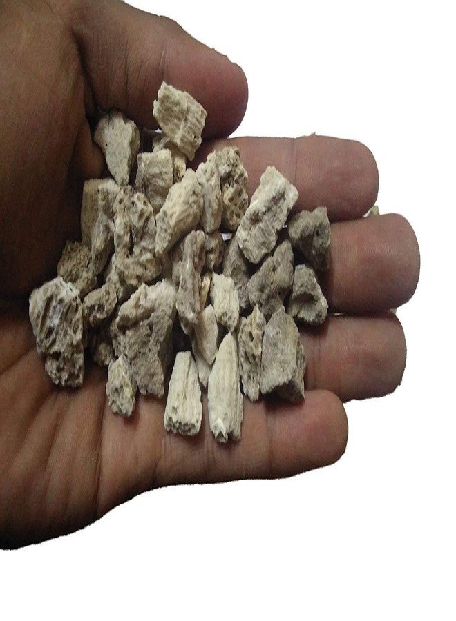 Maalavya Natural Bio Biological Filter Media Ocean Form Crush for Aquarium (1 Kg) - Image 2
