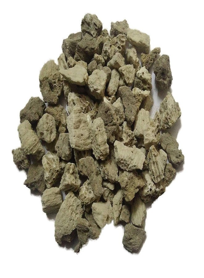 Maalavya Natural Bio Biological Filter Media Ocean Form Crush for Aquarium (1 Kg) - Image 1