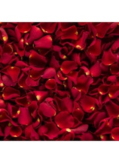 Fresh Red Rose Petals - pzsku/Z2E39C3CB4F7E7CD201E6Z/45/_/1729574820/d5f7d10b-8638-45d8-9c24-42d27ff3ea01