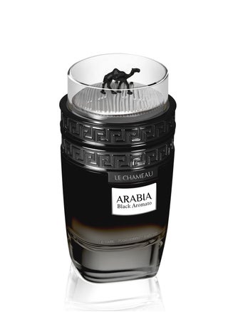 Le Chameau Arabia Black Aromato Unisex Perfume 100ml - pzsku/Z2E3AEB2A471EC6DF5CC0Z/45/_/1723723667/8e6e4660-c820-412e-a0f3-1192d6e50a3a