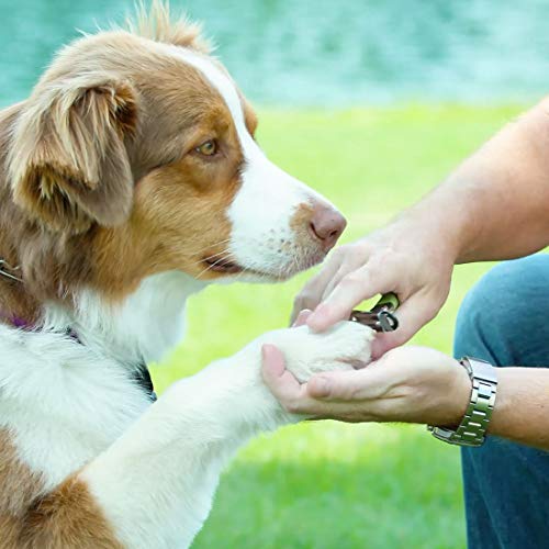 Coastal Pet - Safari Guillotine Dog Nail Trimmer - Double-Bladed Guillotine Style Dog Nail Trimmers - Owner-Friendly Vinyl Grip - for Small to Medium Dogs - Small (5" L x 3" W) - Image 2