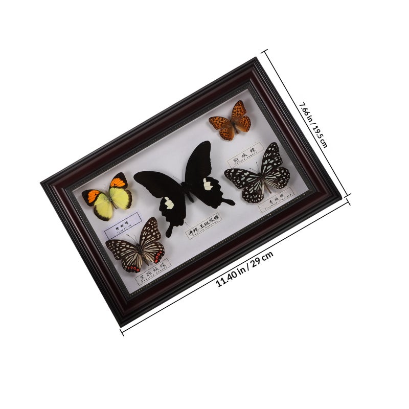 🏠 إطار مزخرف بأبعاد ٢٩ ١٩ ٥٠ ٣ ٥ سم للديكور المنزلي مجموعة واحدة - Image 2