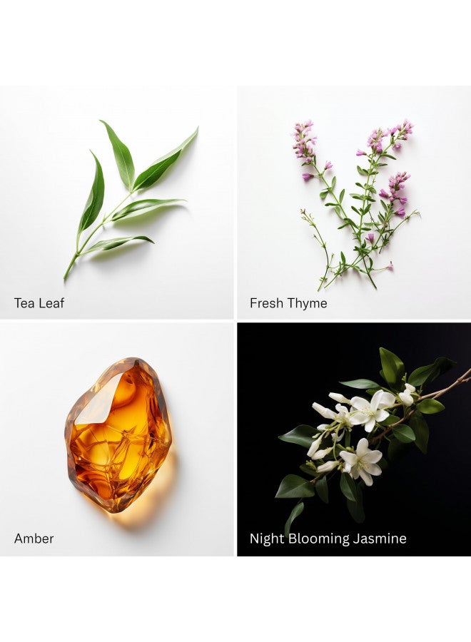 AromaTech White Tea and Thyme Aroma Essential Oil Blend: Luxury Hotel Inspired Aromatherapy with Tea Leaf, Fresh Thyme & Amber for Ultrasonic Diffusers & Nebulizers - 16 fl oz, 500 mL - Image 1