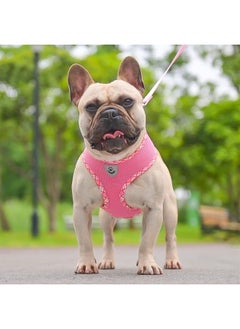 BINGPET Soft Mesh Breathable Pet Vest Harnesses, No Pull & No Choke Dog Harness, Lightweight Adjustable Vest Harness for Small and Medium Dogs  - Image 2