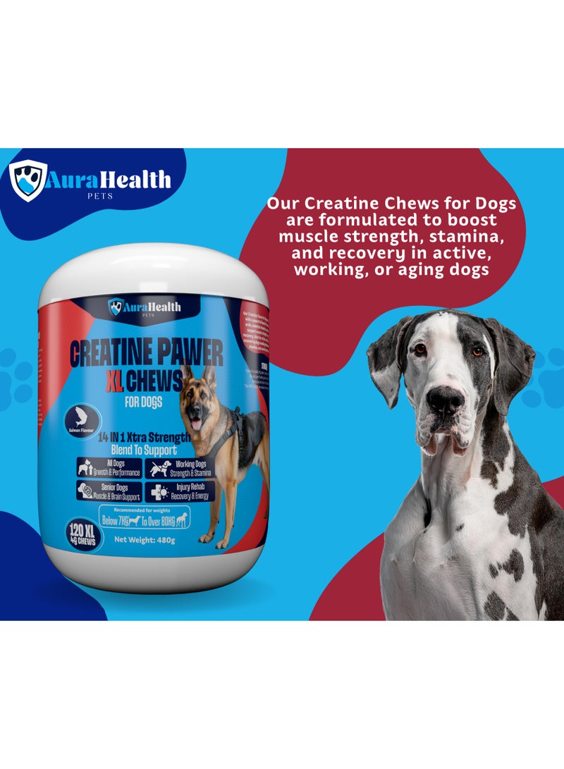 AuraHealth Pets CREATINE PAWER 120 XL Chews up to 4-month supply for Working, Senior, & Injured Dogs 14-in-1 XtraStrength: Creatine, L-Carnitine & Taurine. Muscles, Performance, Energy & Recovery, Salmon Flavour - Image 5