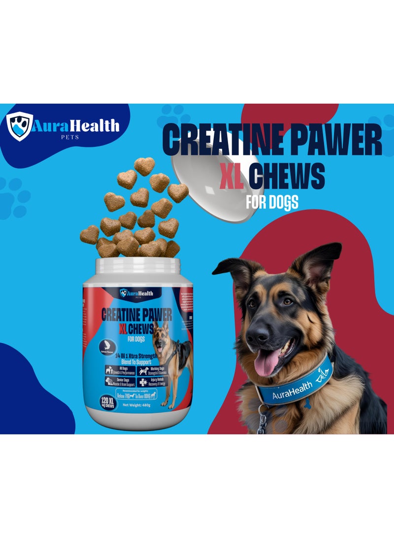 AuraHealth Pets CREATINE PAWER 120 XL Chews up to 4-month supply for Working, Senior, & Injured Dogs 14-in-1 XtraStrength: Creatine, L-Carnitine & Taurine. Muscles, Performance, Energy & Recovery, Salmon Flavour - Image 2