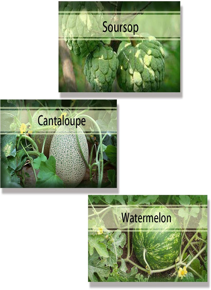 GGOOT - 560Pcs Fruit Seeds Package Includes 8 Varieties Including Watermelon Cherry Apple Lemon Easy to Plant Ripe in Summer Nutritionally Matched Enjoy Life Garden Courtyard Heirloom Fruits - Image 1