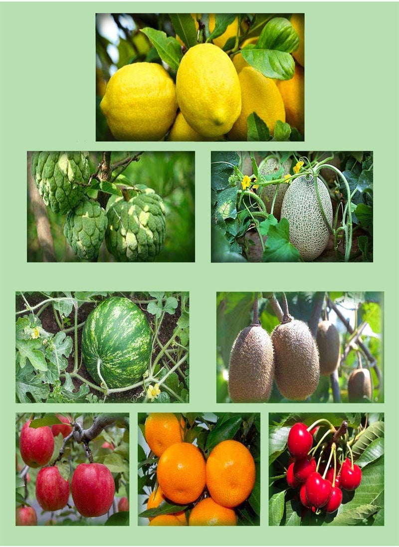 GGOOT - 560Pcs Fruit Seeds Package Includes 8 Varieties Including Watermelon Cherry Apple Lemon Easy to Plant Ripe in Summer Nutritionally Matched Enjoy Life Garden Courtyard Heirloom Fruits - Image 1