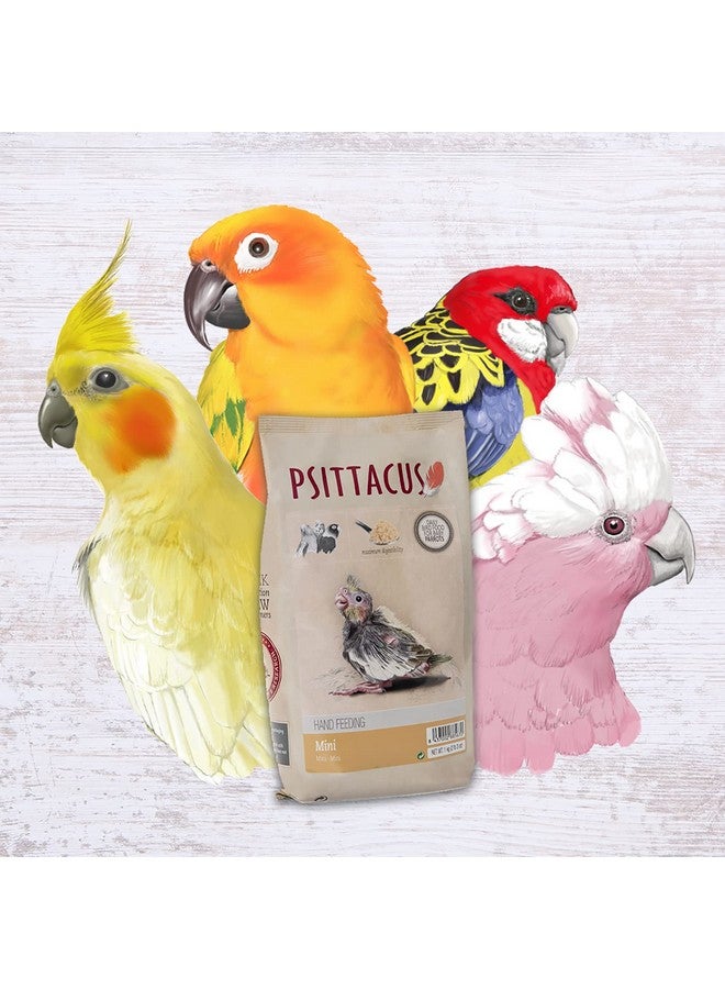 PSITTACUS Mini HandFeeding Formula 2.2 Lb | Diet For Baby Cockatiels, Conures And Galah Cockatoo | Premium Food For Birds, 100% NoGmo - Image 3