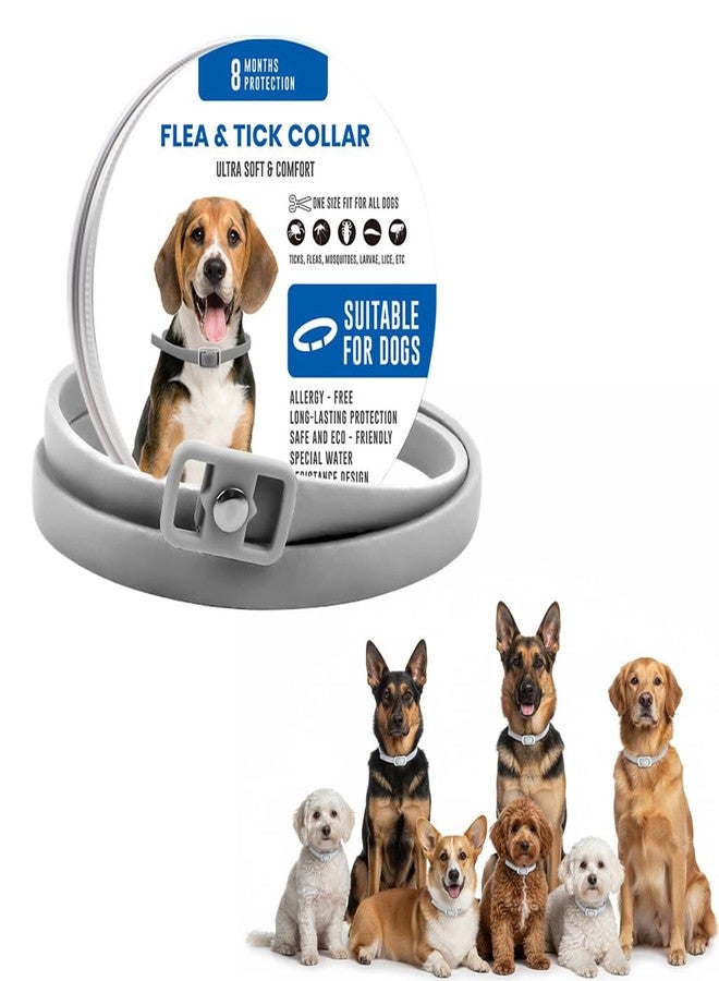 Qpets طوق كيو بيتس® للبراغيث والقراد للكلاب، طوق قابل للتعديل مضاد للقراد، مقاوم للماء، طوق سيليكون للحيوانات الأليفة، حماية طويلة الأمد، آمن ومريح للجراء والكلاب البالغة (طول 62 سم) - Image 1
