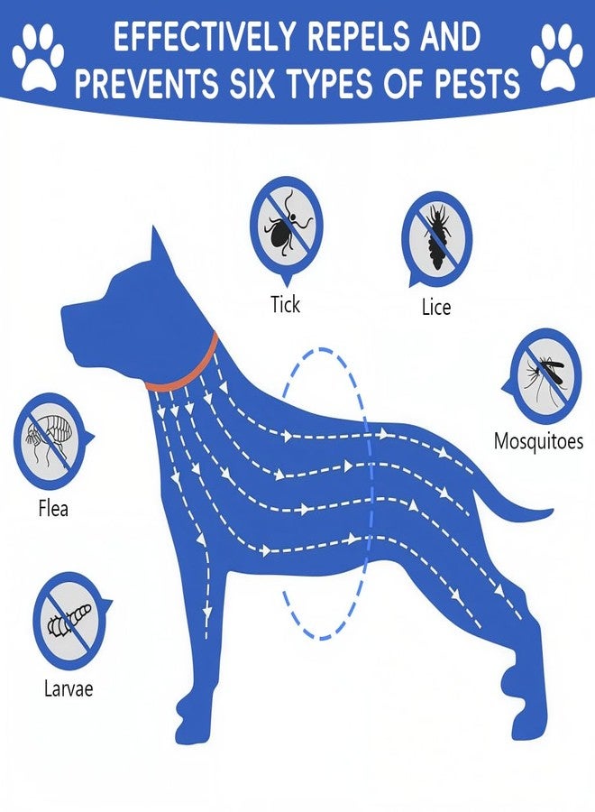 Qpets طوق كيو بيتس® للبراغيث والقراد للكلاب، طوق قابل للتعديل مضاد للقراد، مقاوم للماء، طوق سيليكون للحيوانات الأليفة، حماية طويلة الأمد، آمن ومريح للجراء والكلاب البالغة (طول 62 سم) - Image 3