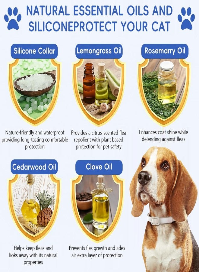 Qpets طوق كيو بيتس® للبراغيث والقراد للكلاب، طوق قابل للتعديل مضاد للقراد، مقاوم للماء، طوق سيليكون للحيوانات الأليفة، حماية طويلة الأمد، آمن ومريح للجراء والكلاب البالغة (طول 62 سم) - Image 4